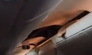 Criança é achada no compartimento de malas ao ser arremessada durante turbulência em avião