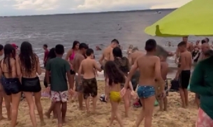 'Ratatouille' invade Ponta Negra e causa alvoroço entre banhistas; vídeo