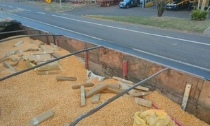 PRF apreende mais de 5 toneladas de maconha escondidas em carga de milho