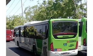 Foto: Divulgação/Ônibus Brasil