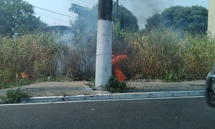 Foto: Portal do Holanda