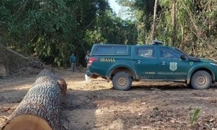 Foto: Divulgação/Ibama