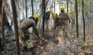 Foto: Divulgação/CBMAM