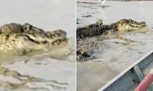 Pescador atravessa lago repleto de jacarés durante seca no Amazonas; vídeo