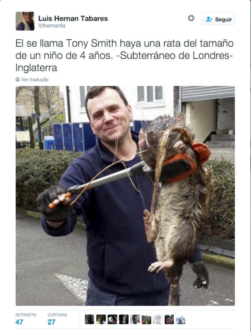 O RATO GIGANTE DA AMAZÔNIA !!!