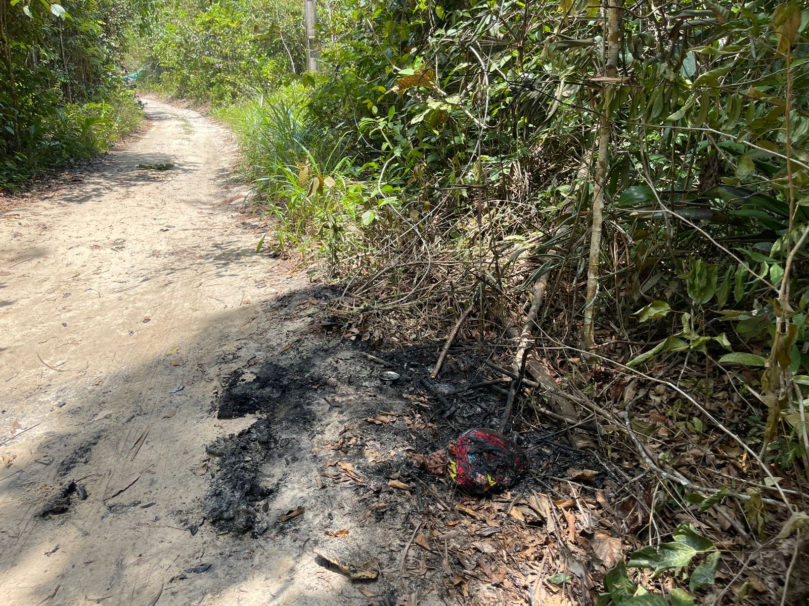 Menina de 11 anos morre eletrocutada em cerca elétrica no Alto Vale do  Itajaí