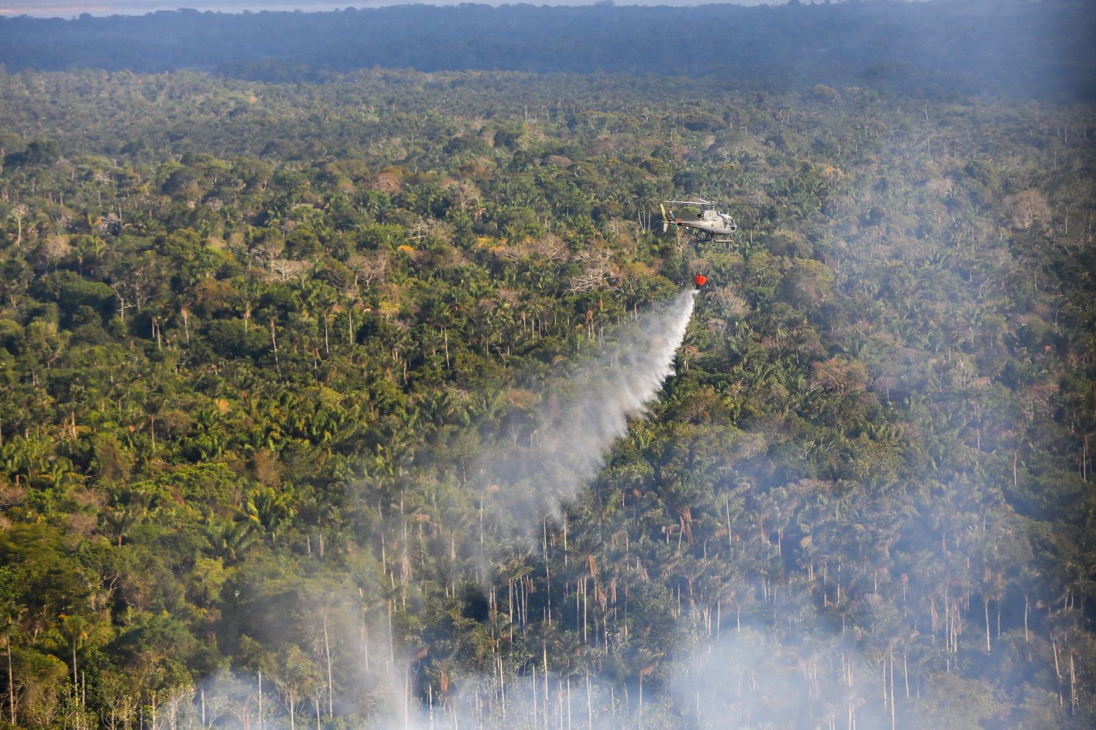 Foto: Divulgação SSP-AM