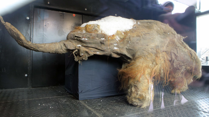 O mamute melhor preservado do mundo é descoberto  - TecMundo