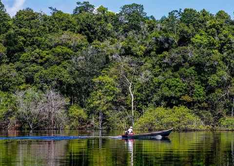 La hepatitis delta está aumentando entre las poblaciones ribereñas del Amazonas